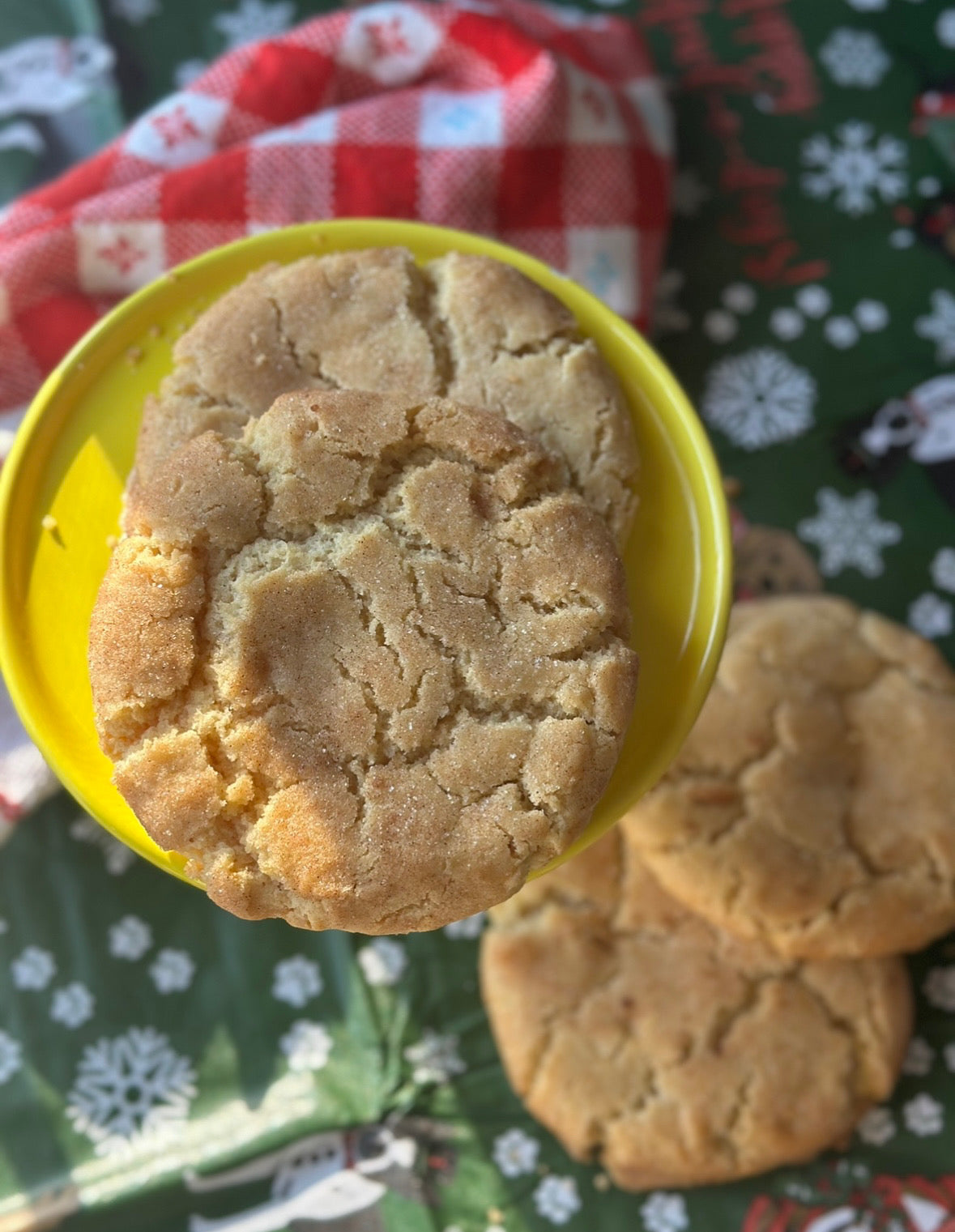 St. NICKerdoodle