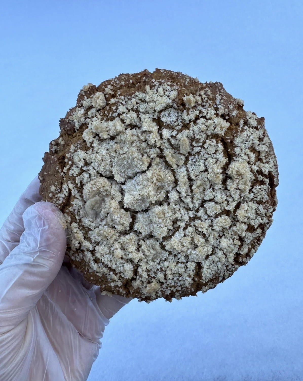 Gingerbread Coffeecake