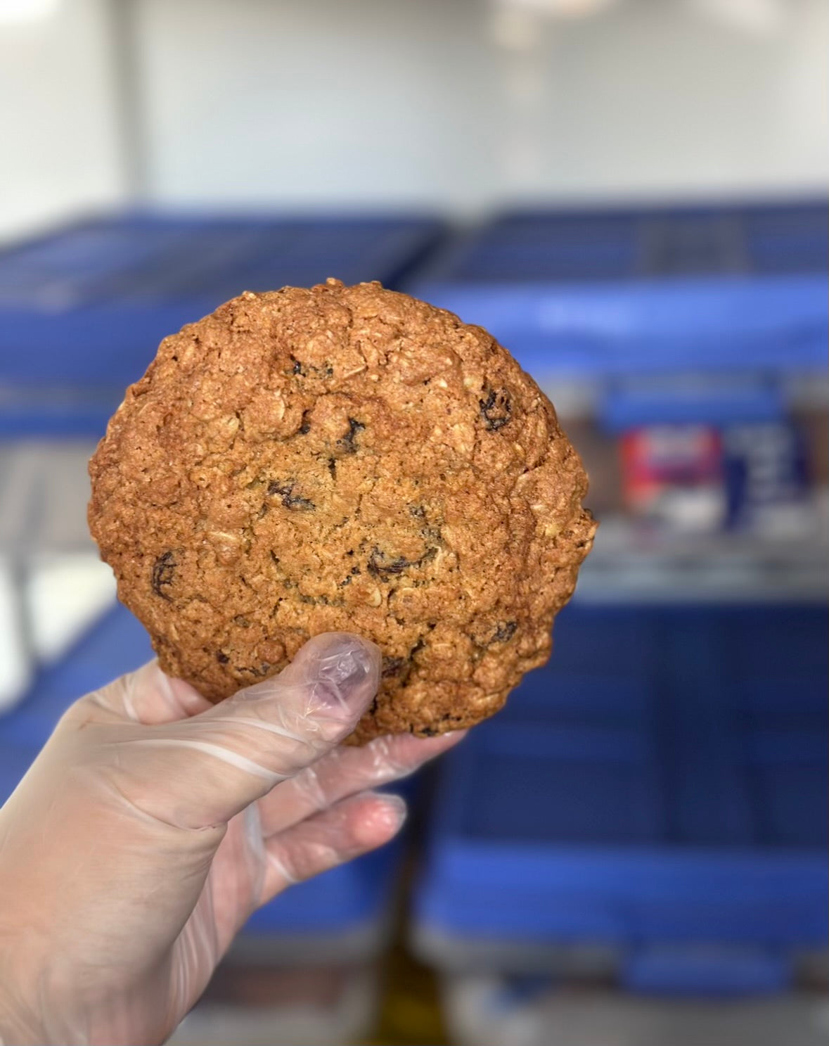 Oatmeal Raisin