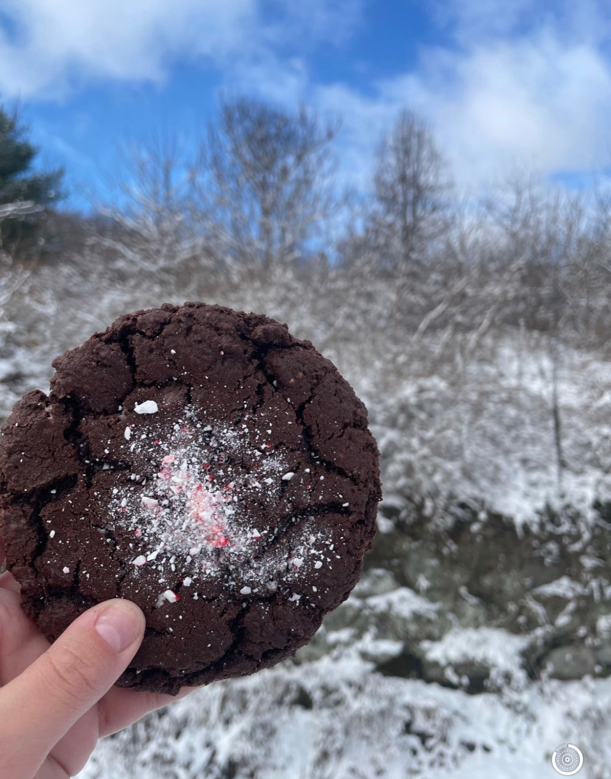 Peppermint Mocha