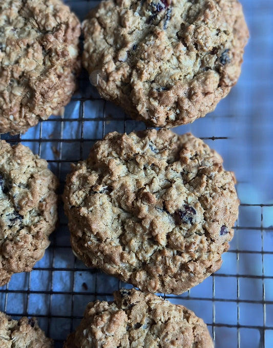 Oatmeal Chocolate Chip