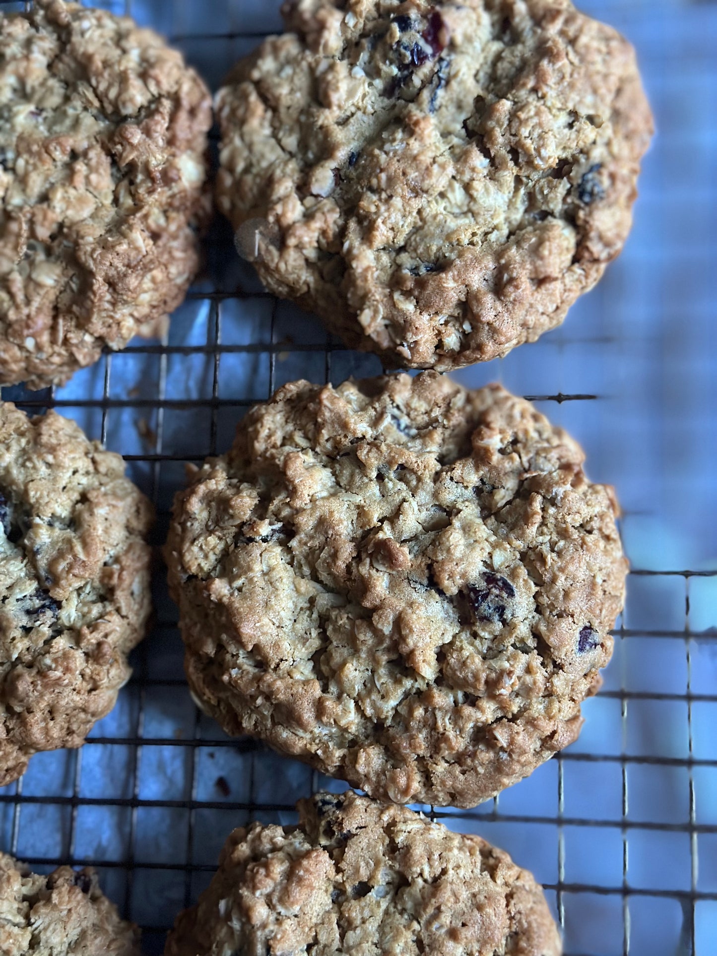 Oatmeal Cranberry